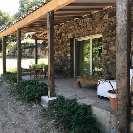 Apartment Pietra-monetta *