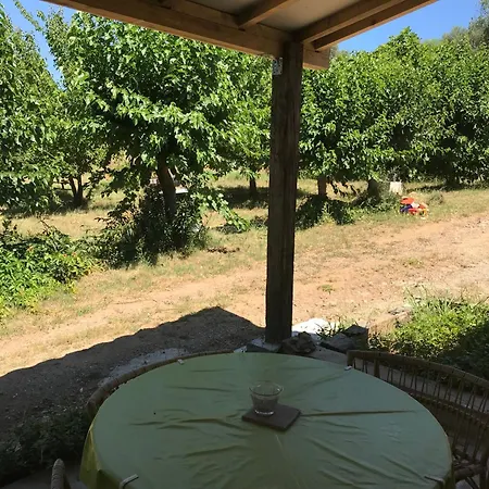 Pietra-monetta * Palasca (Corsica)