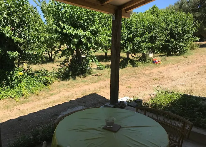 Pietra-monetta * Palasca (Corsica)